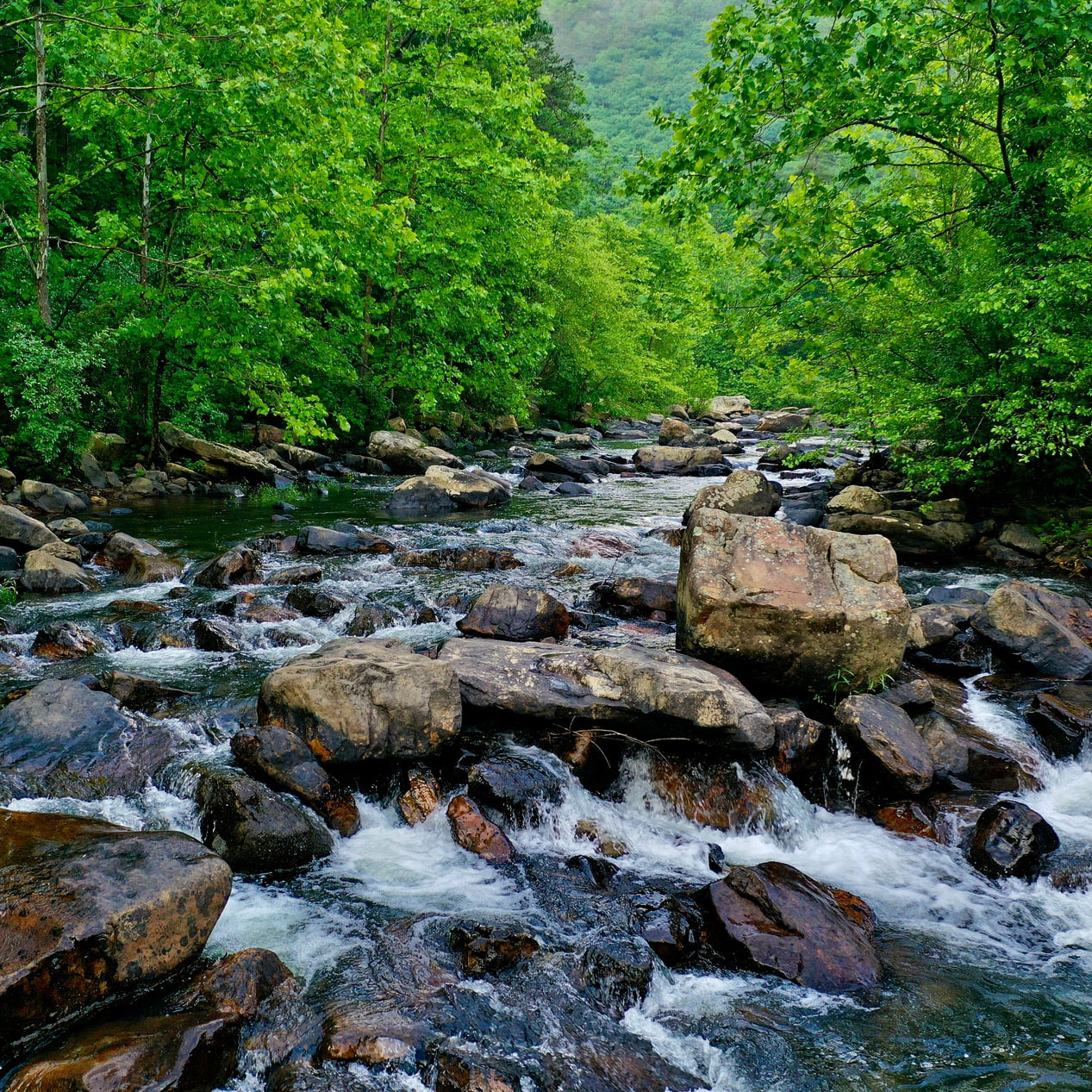 Virginia landscape - river